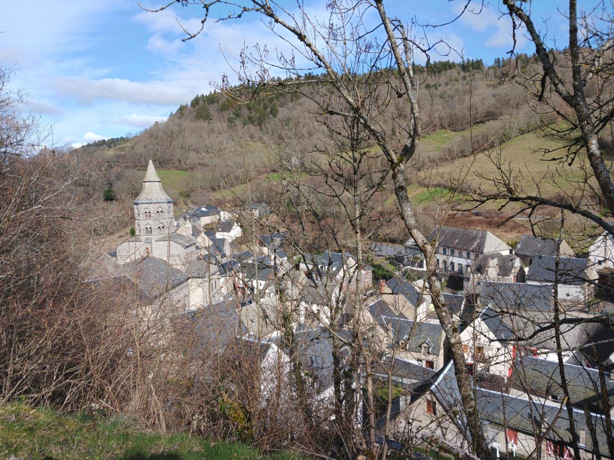 Gite Les Bois Orcival Luaran gambar